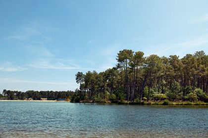 Landes de Gascogne